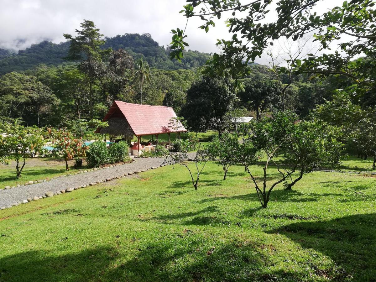 Hacienda Mil Bellezas - Private 40Ha Jungle Reserve Quepos Exterior photo