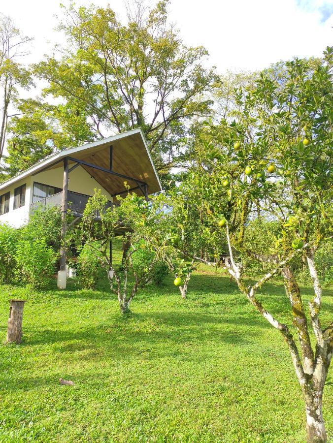 Hacienda Mil Bellezas - Private 40Ha Jungle Reserve Quepos Room photo